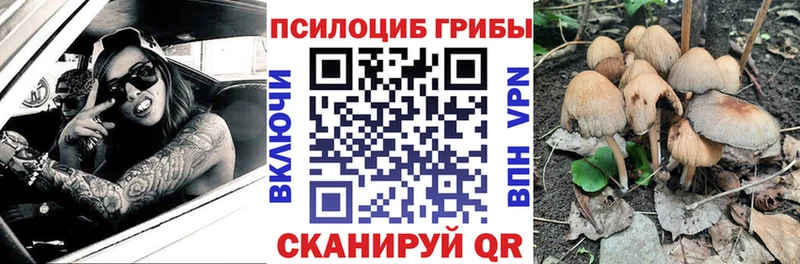 Галлюциногенные грибы Cubensis Коммунар