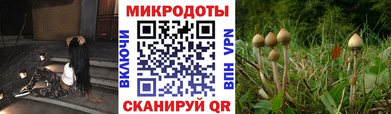 блэк спрут рабочий сайт  даркнет какой сайт  Коммунар  Псилоцибиновые грибы прущие грибы  где найти  